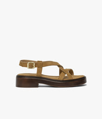 Camel