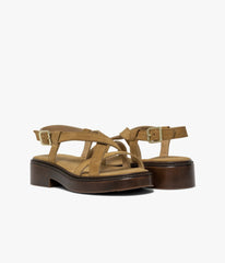 Camel