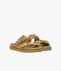 Camel