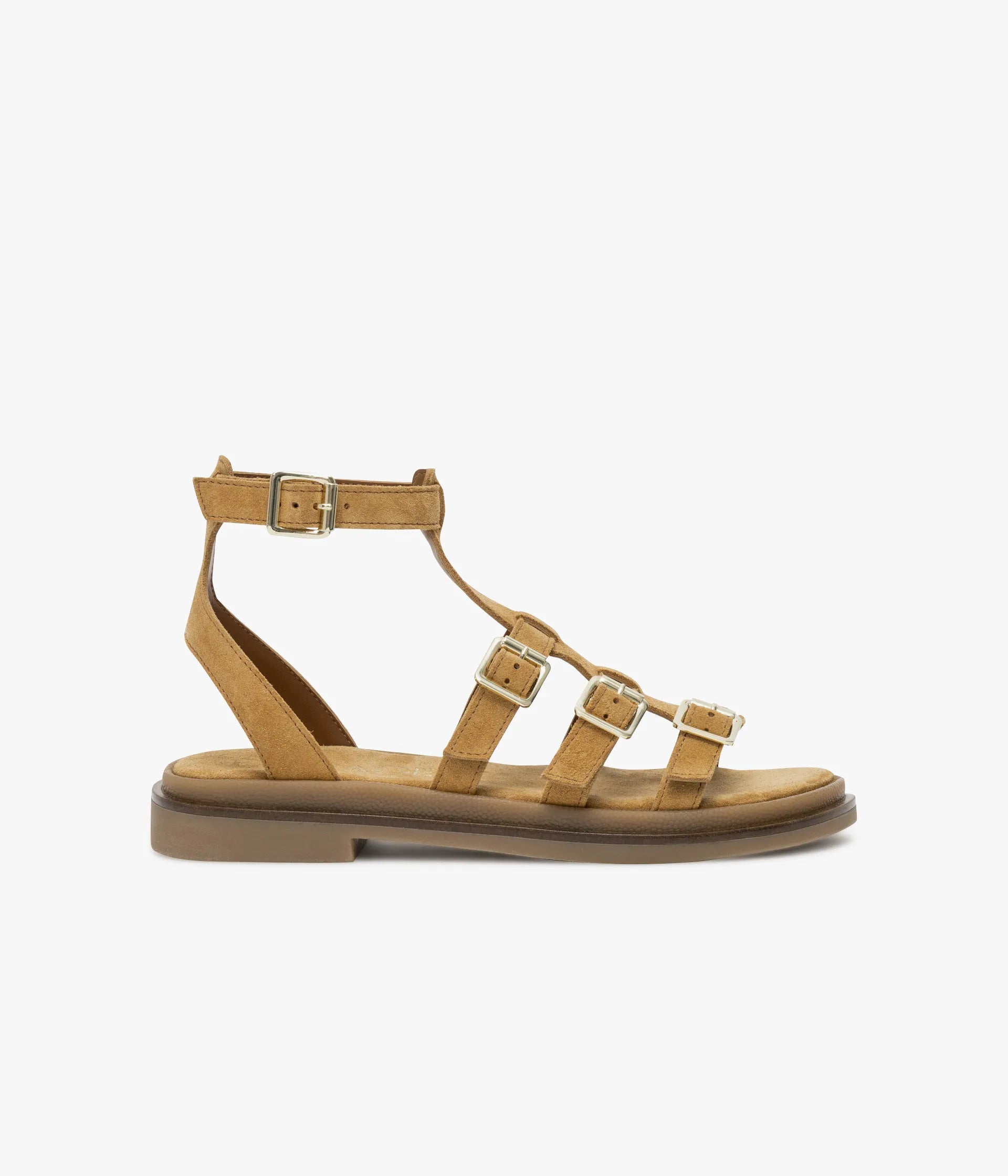 Camel