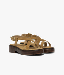 Camel