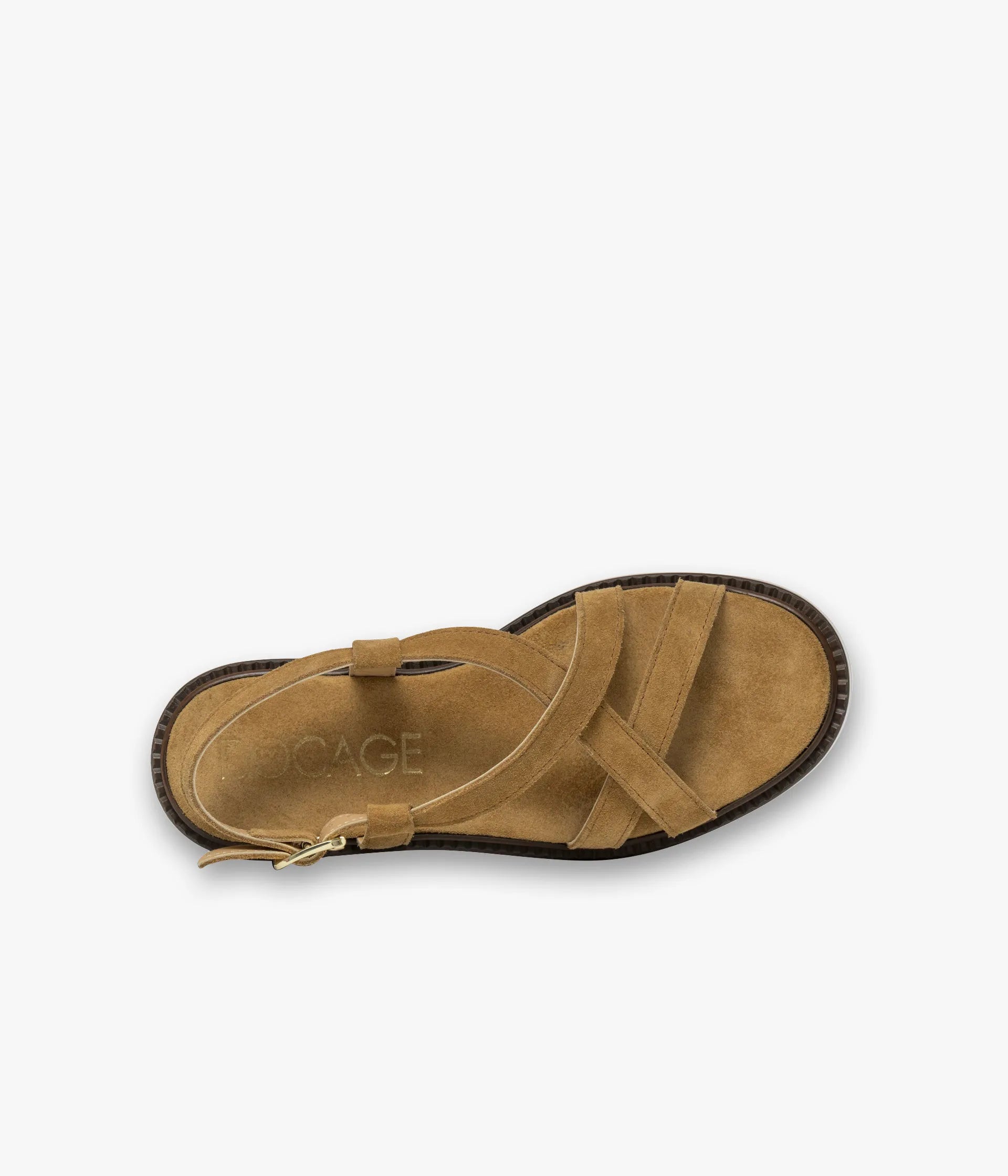 Camel