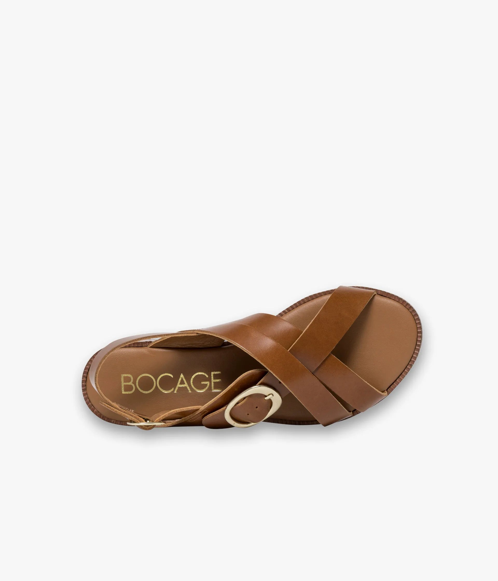 Camel