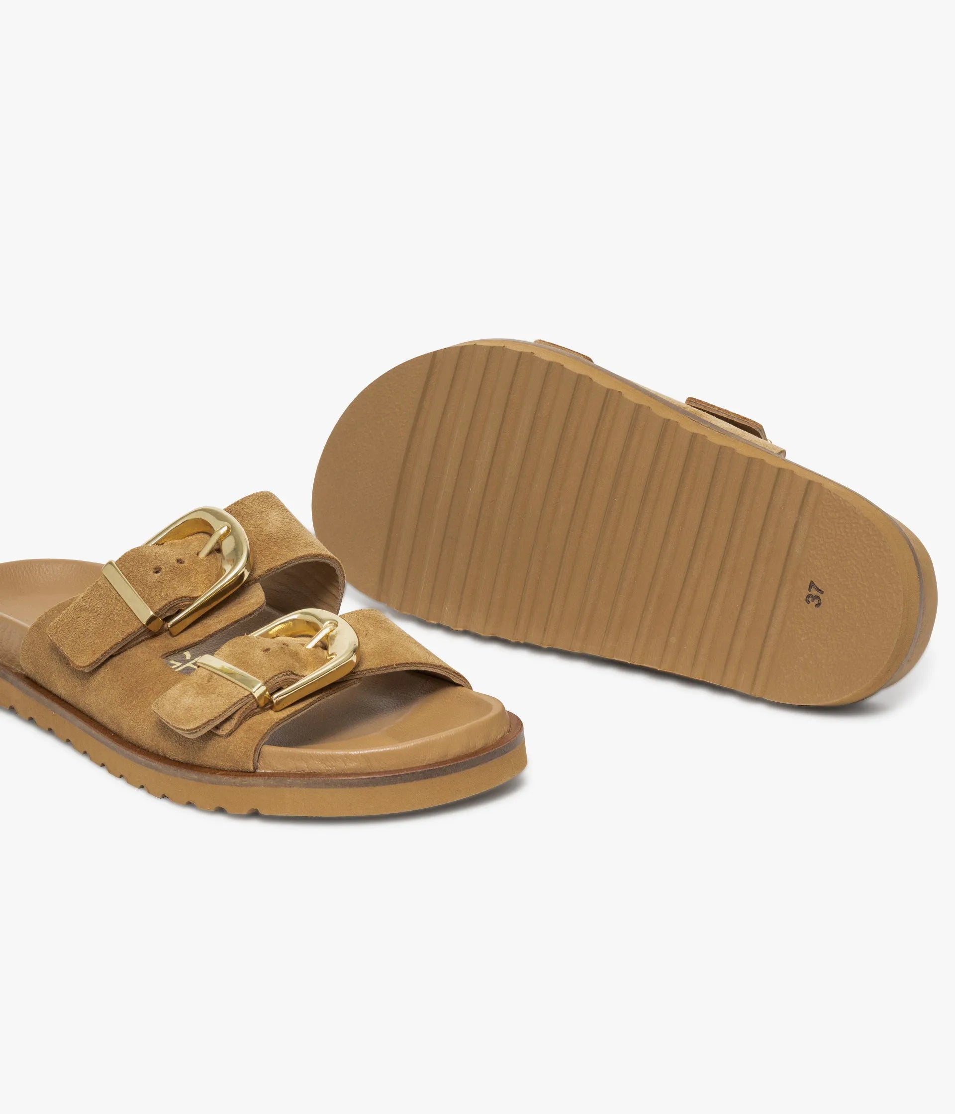 Camel