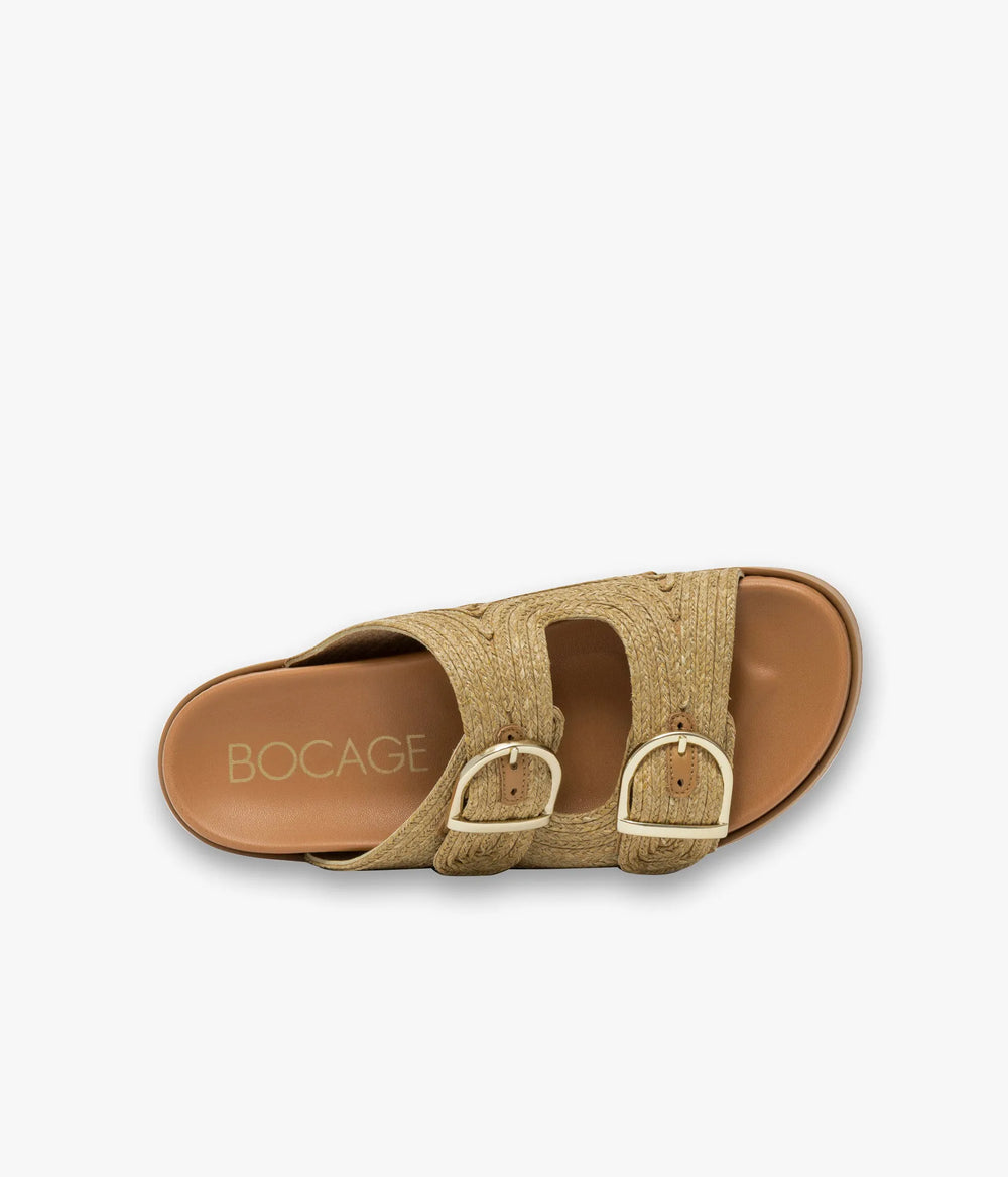 Camel