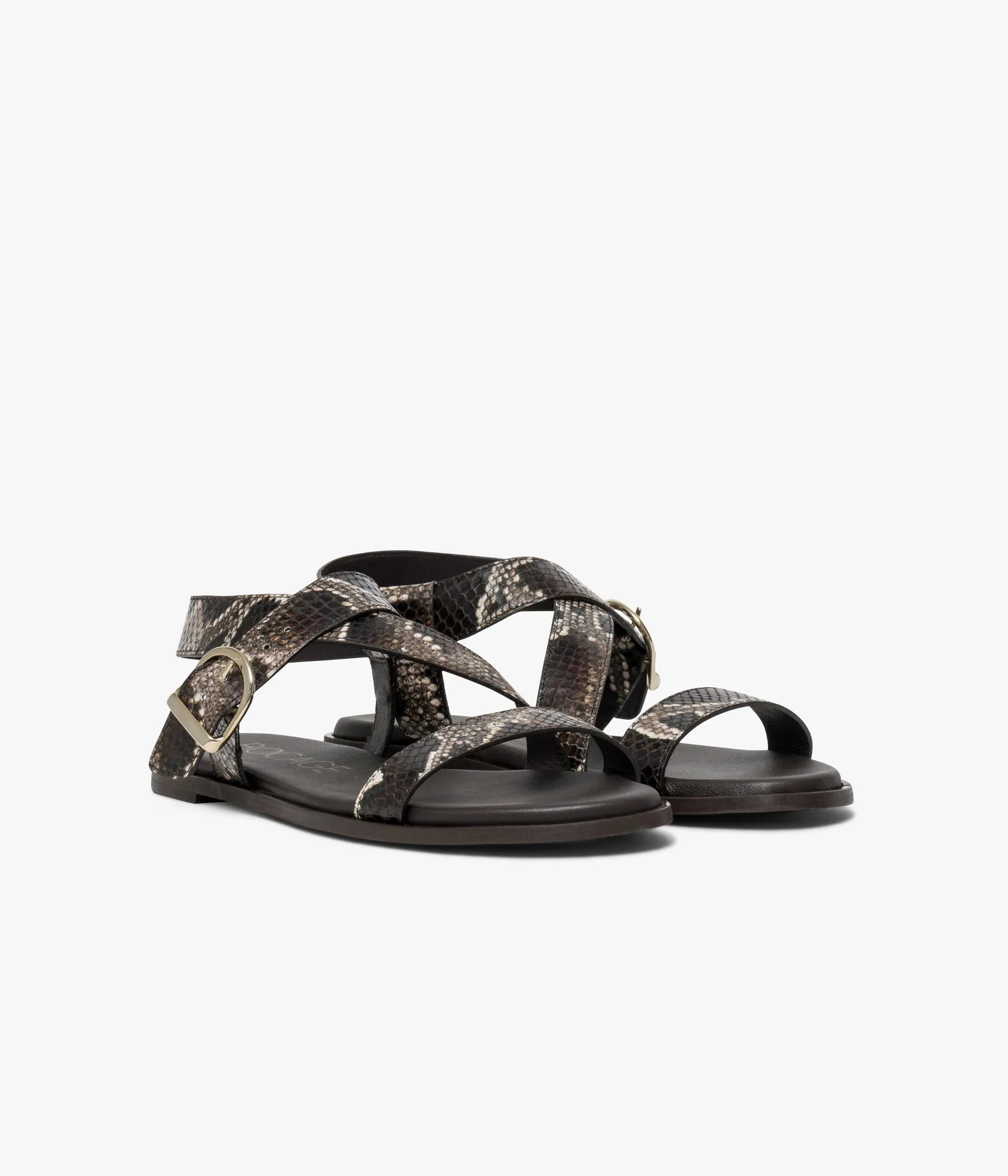 Brown python