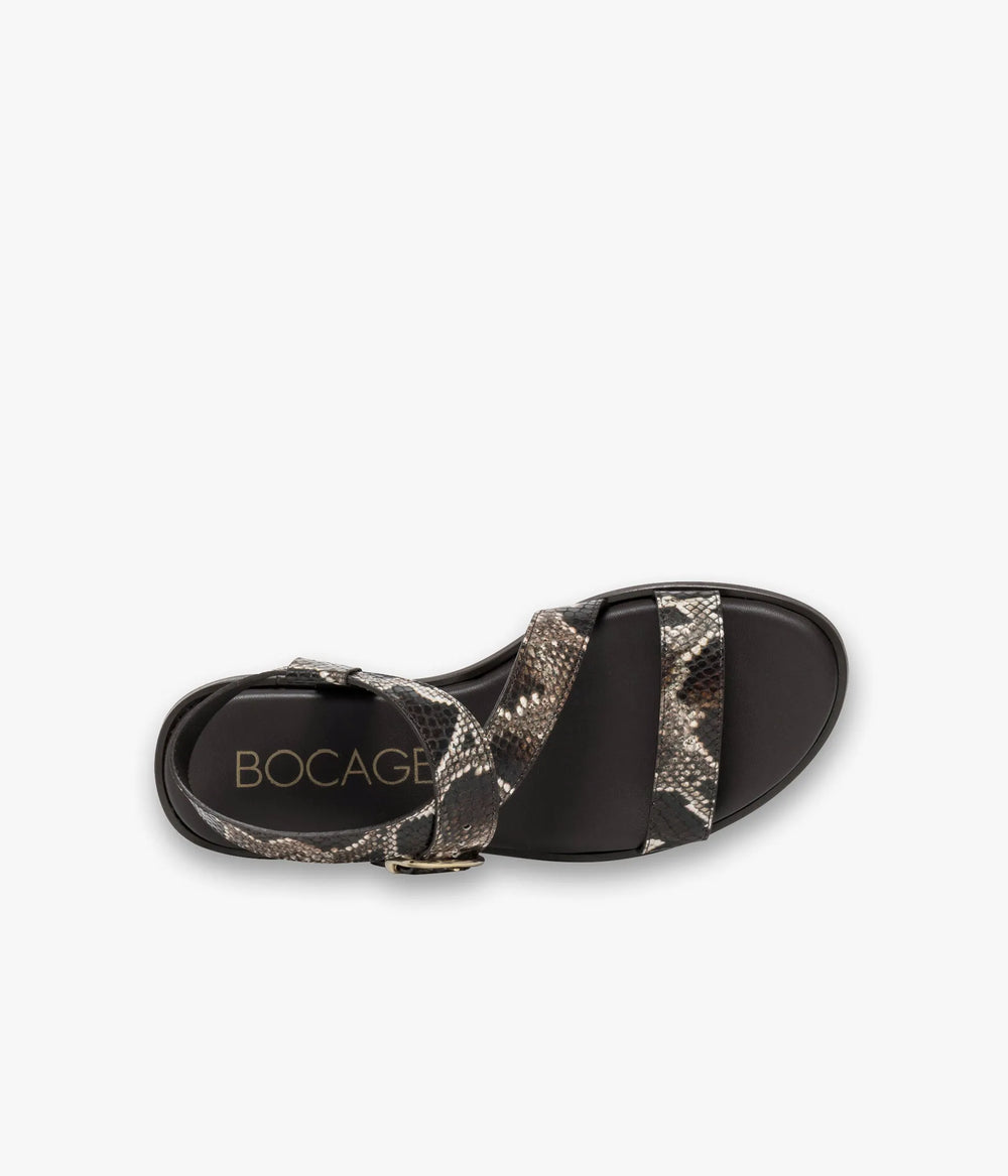 Brown python