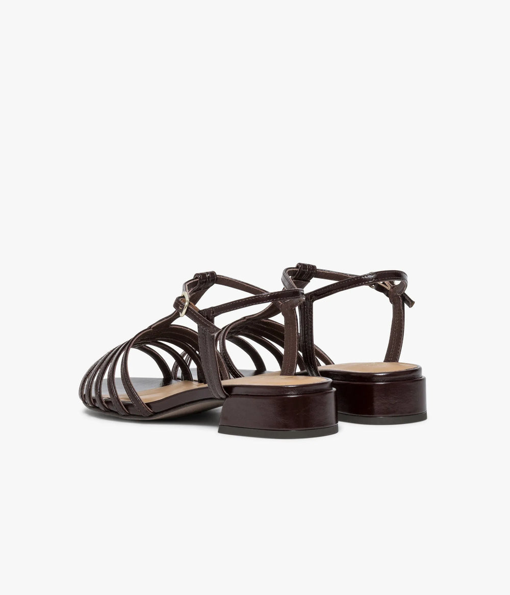 Dark brown