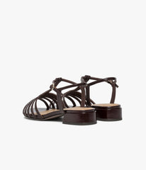 Dark brown