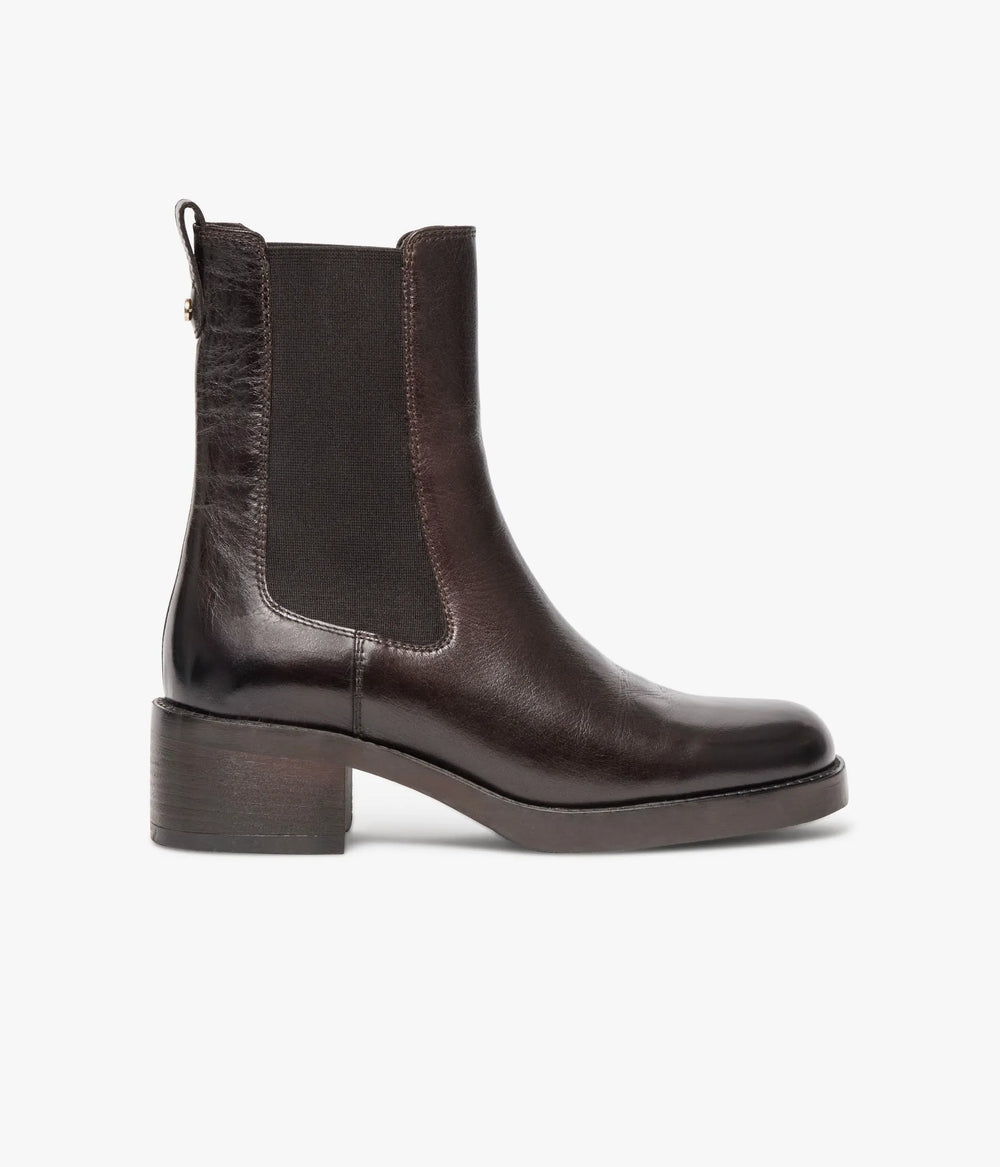 Dark brown
