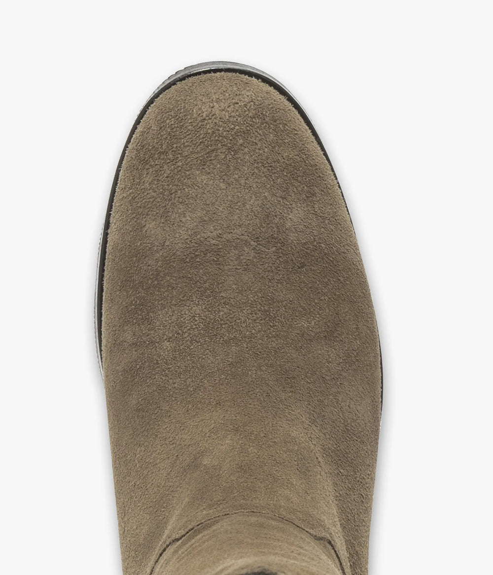 Taupe