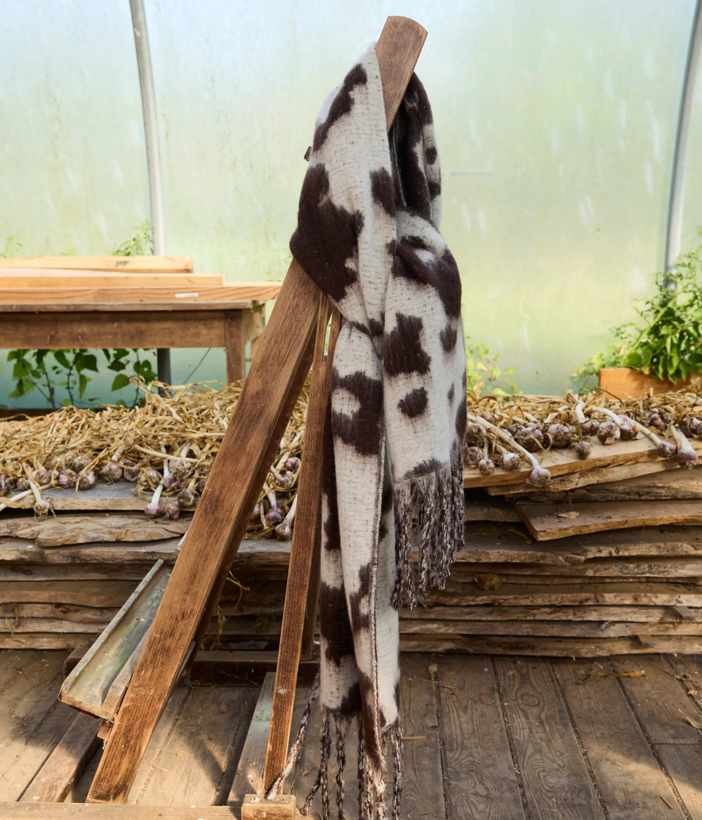 Cow