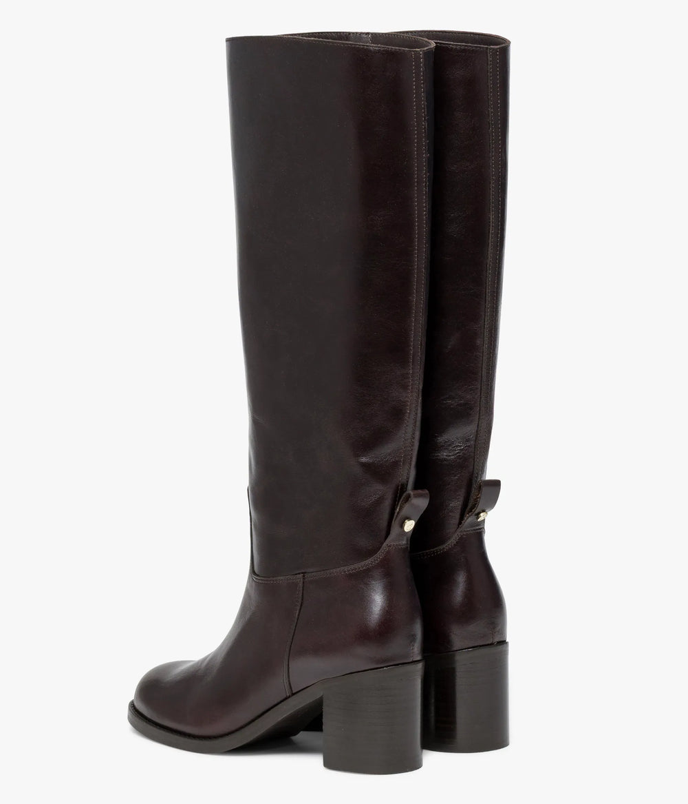 Dark brown
