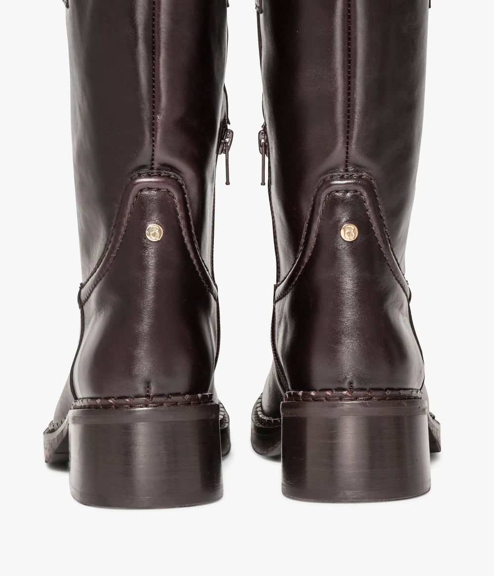 Dark brown