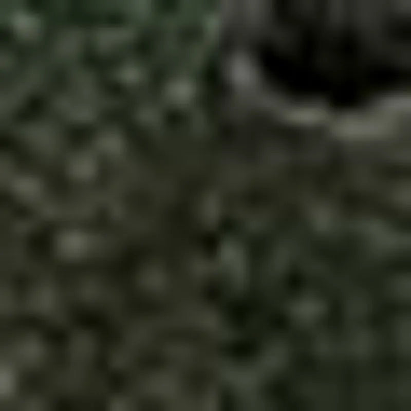 Pine green