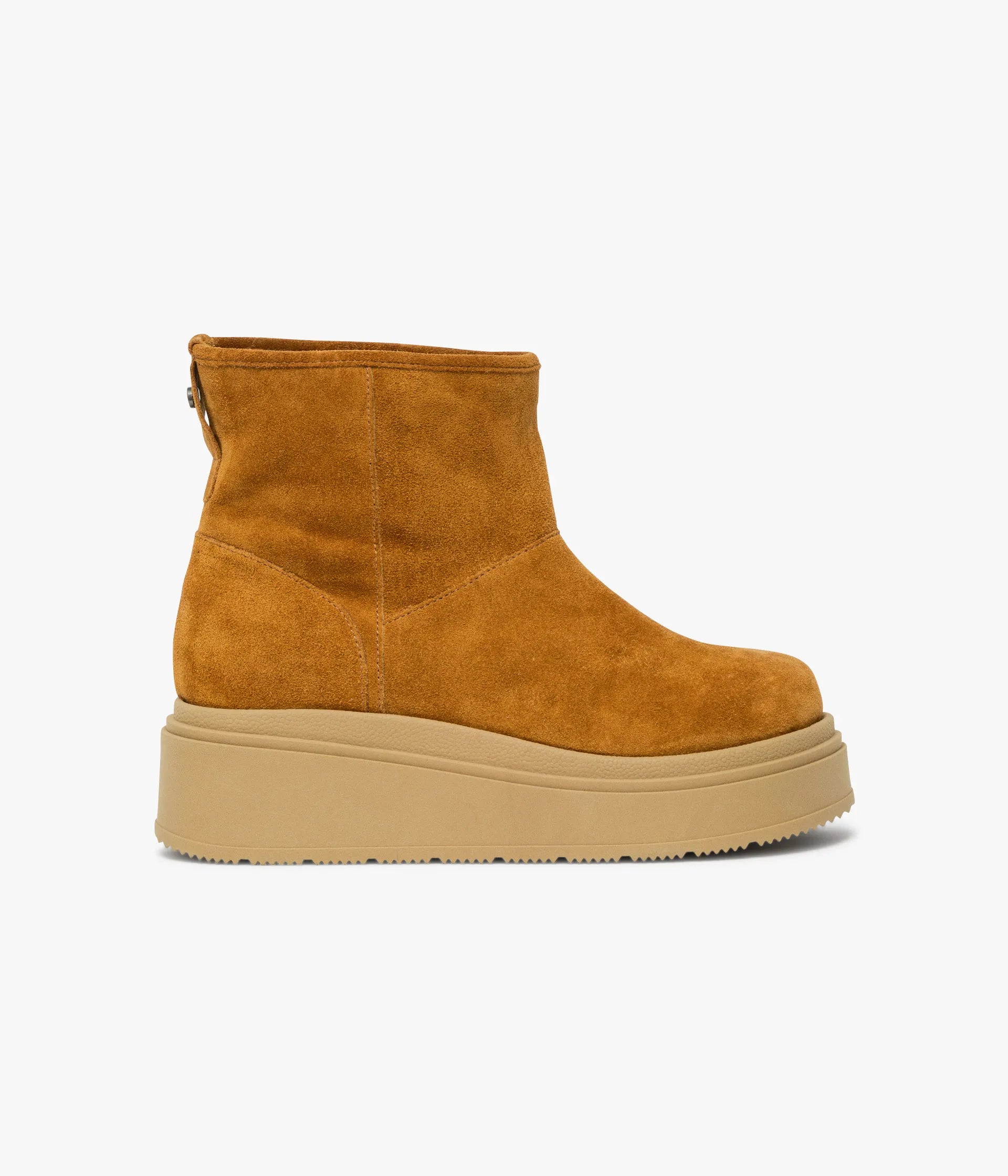 Camel