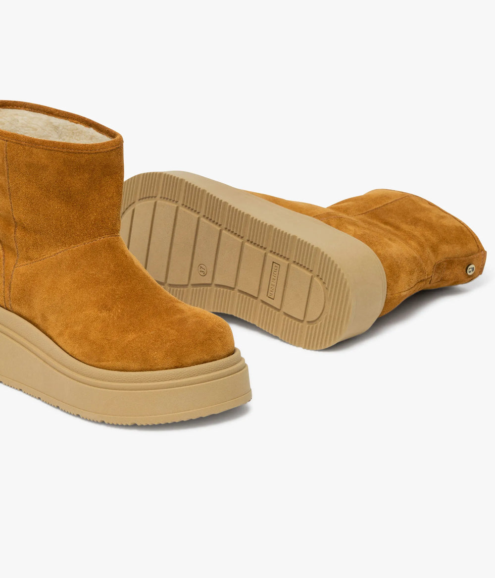 Camel