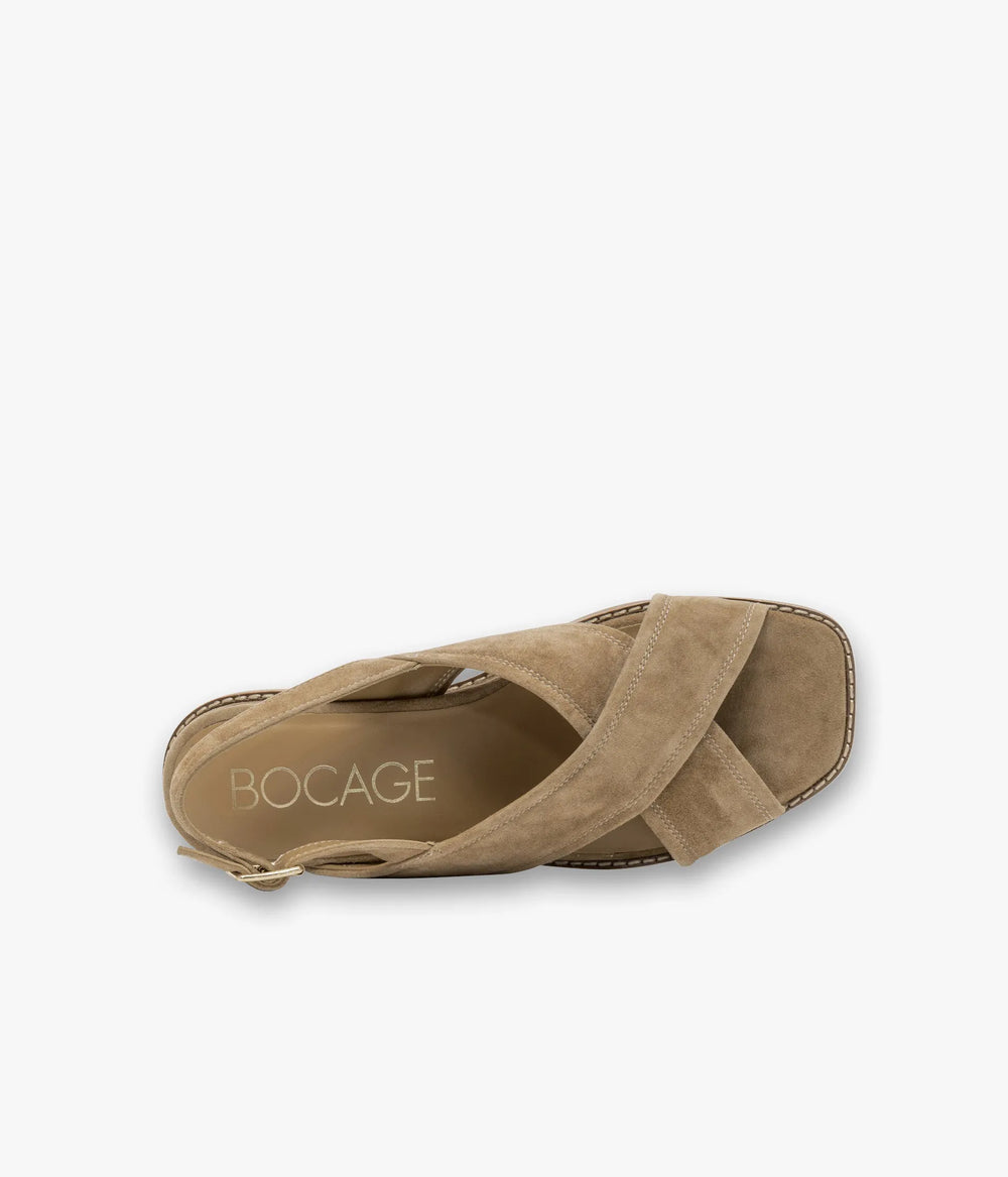 Taupe