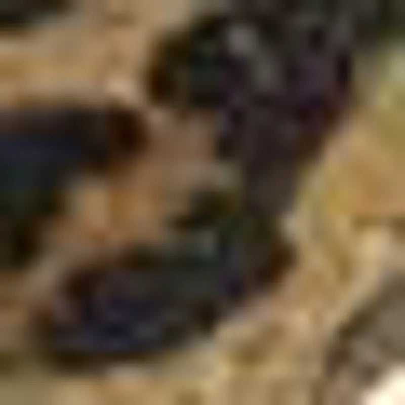 Leopard print