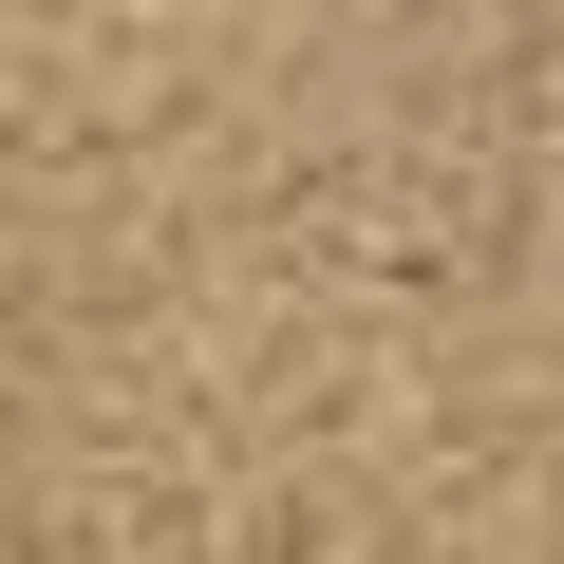 Sand