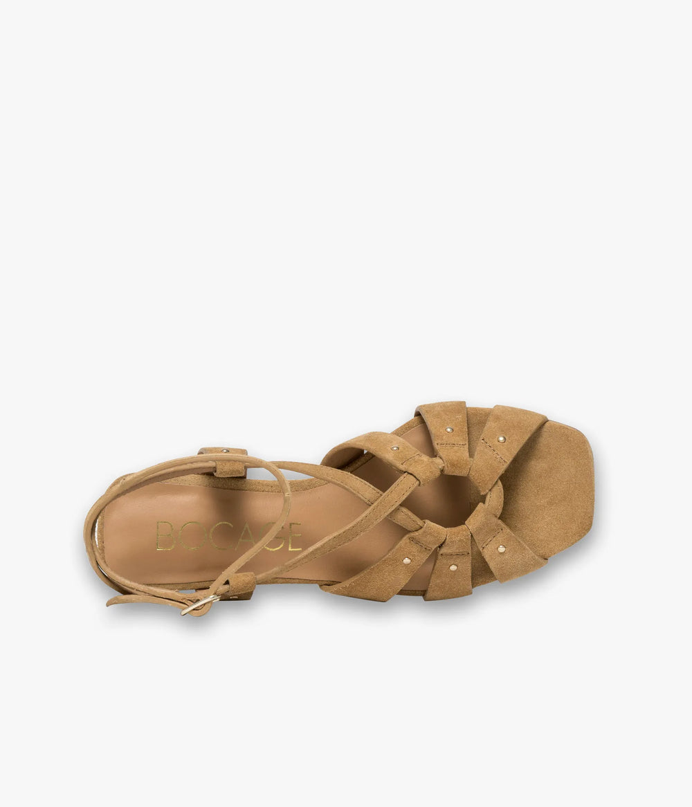 Camel